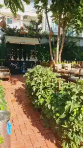 Kolibri - All Inclusive - 51