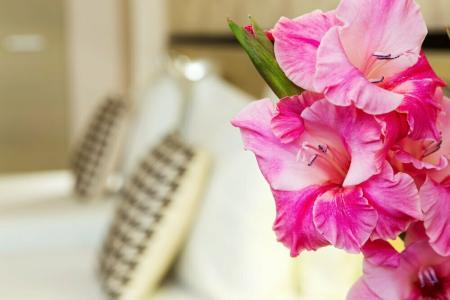 City Avenue by HMG - 46