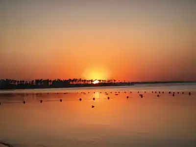 Caribbean World Resort Soma Bay - 60