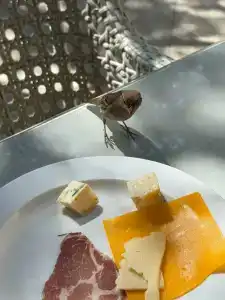 Iberostar Bellevue - 65