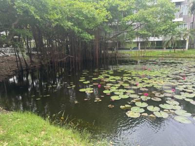 The Leela Resort & Spa Pattaya - 54
