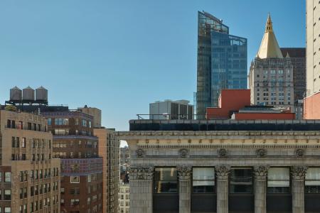 Mondrian Park Avenue - 29