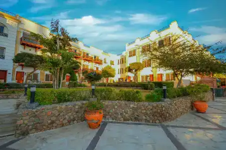 Falcon Naama Star - 56