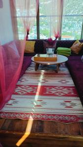 Sonne - Adults Only - 56