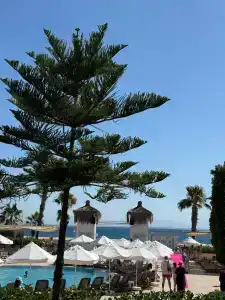 Crystal Flora Beach Resort - Ultimate All Inclusive - 56