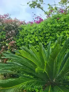 Rixos Premium Göcek - Adult Only - 63