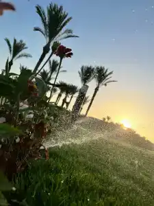 Palm Royale Resort - Soma Bay - 63