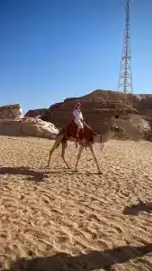 Grand Rotana Resort & Spa - 28