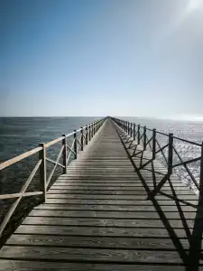 Barceló Tiran Sharm - 100