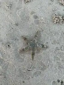 Rixos Bab Al Bahr - 49