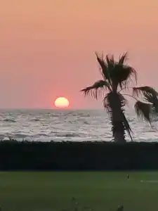 Palm Wings Kusadasi Beach Resort&Spa - 69