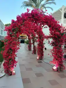 Crystal De Luxe Resort & Spa - All Inclusive - 45