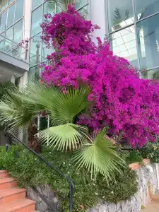 Pine Bay Holiday Resort - 44