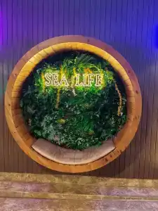 Sealife Family Resort - 47
