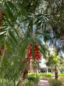 Amons Belek - Adult Only - 38