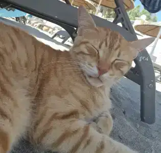 Salmakis Resort & Spa - 48