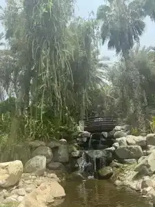 JA Lake View, Dubai - 88