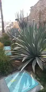 Reef Oasis Beach Aqua Park Resort - 30