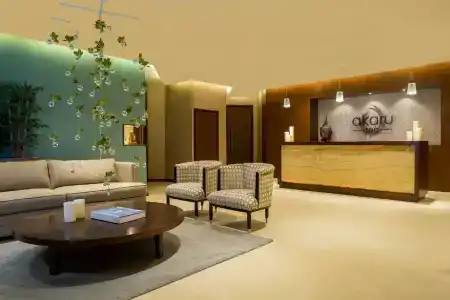 Jumeirah Creekside Dubai - 11