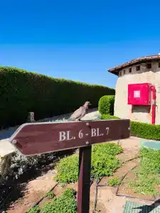 Charmillion Club Resort - 51