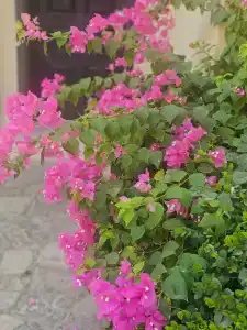 The Cove Rotana Resort - Ras Al Khaimah - 53