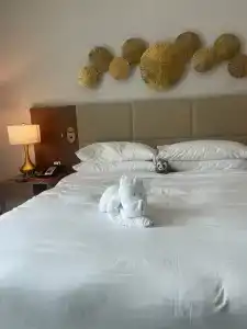 Holiday Inn Dubai Al-Maktoum Airport - 25