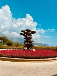 NG Phaselis Bay - 45