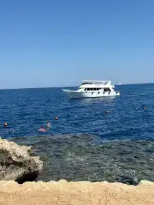 The Grand Sharm El Sheikh - 95