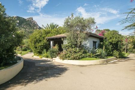 Perdepera Resort - 51