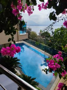 Lemon Villa - Adult Only - 26