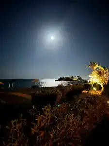 Movenpick Resort & Spa El Gouna - 73