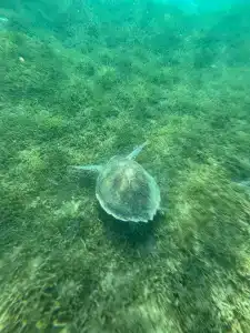 Lotus Bay Resort - 75