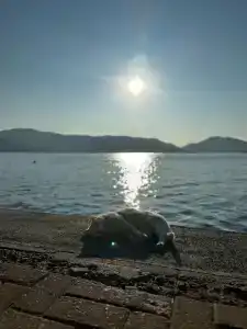 Casa De Maris Spa & Resort Adult Only 14 Plus - 94