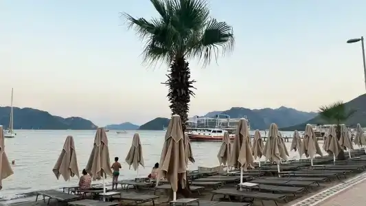 Green Nature Diamond - 92