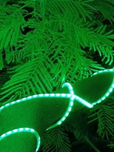 Lemon & Soul Makadi Garden - 59