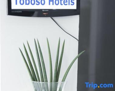 Toboso Chaparil - 59