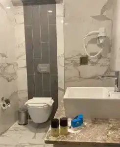 Sertil Royal Forest - 48