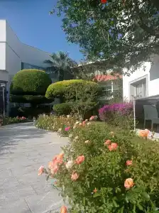 Palm Wings Kusadasi Beach Resort&Spa - 63