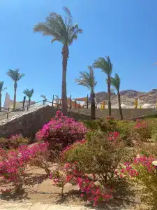 Le Méridien Dahab Resort & Spa - 59