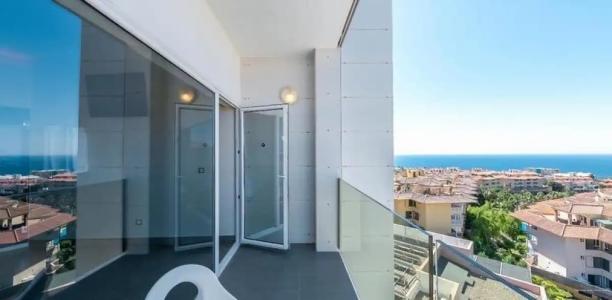 Higuerón Curio Collection by Hilton - 30