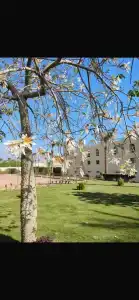 Grand Oasis Resort - 50