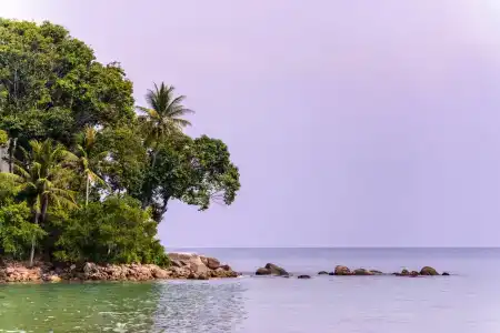 Seaview Patong - SHA Plus - 51