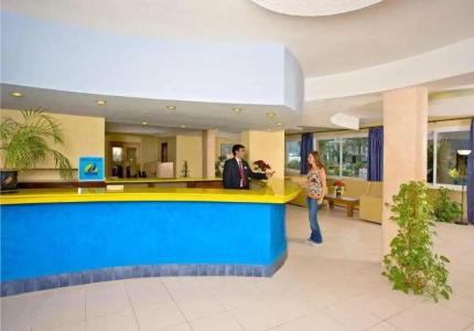 Vibra Palma Cactus - 28