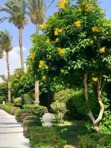 Cleopatra Luxury Resort Sharm El Sheikh - 47