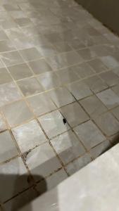 Constantine the Great - 69