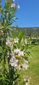 Akka Claros - All Inclusive - 40