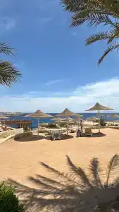 Dreams Vacation Resort - Sharm El Sheikh - 60