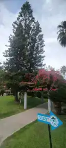 AQI Pegasos World - 95