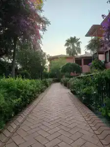 Suncity - Beach Club - 35