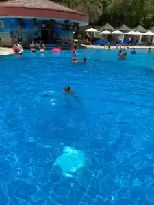 Sheraton Jumeirah Beach Resort - 40